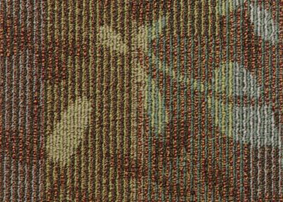 Carpet Grass Botanical Name
