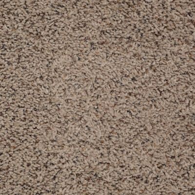 Curry Mountain Stony Trail Carpeting Mohawk Flooring - 