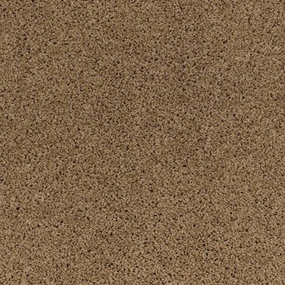 Harvest Grove Rugged Tan Carpeting Mohawk Flooring