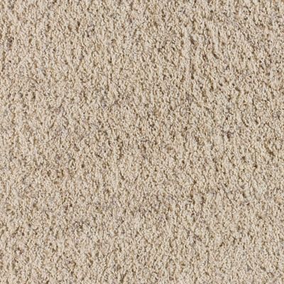 beige speckled carpet