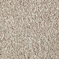 carpet flooring sample