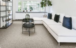 living room with beige carpet
