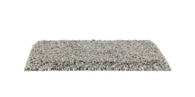 Lifeproof Tyus I Color Charleston Texture 12 Ft Carpet Carpet Samples Carpet Color