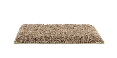 beige speckled carpet