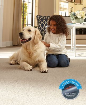 pet rugs for dogs