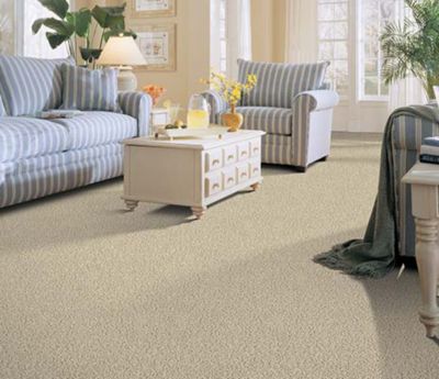 styles of carpet for home